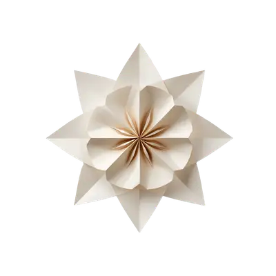 abstract origami paper fold flower 3d matte design transparent background